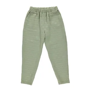 Chino Sage Adult
