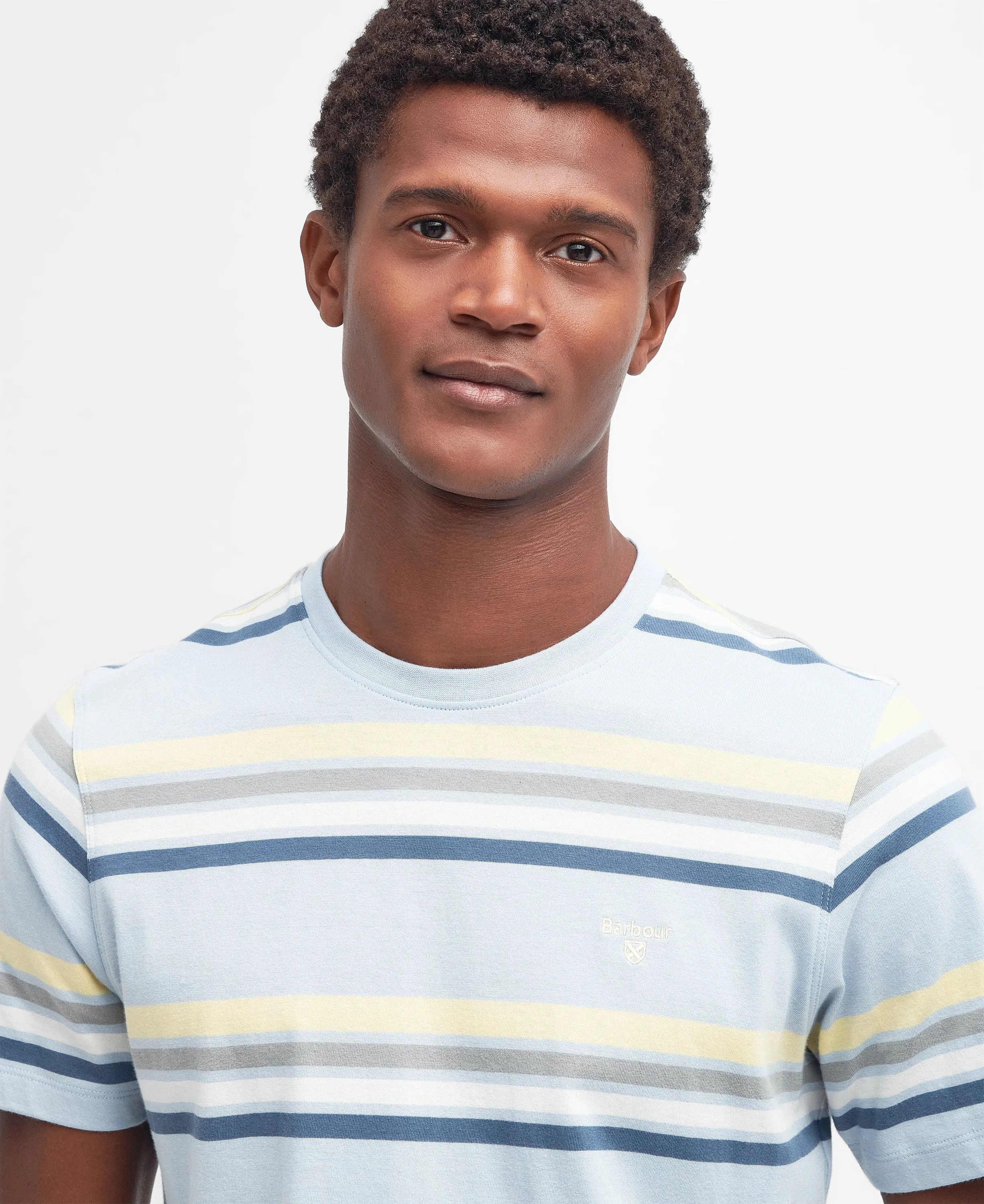 Hamstead Stripe T Shirt