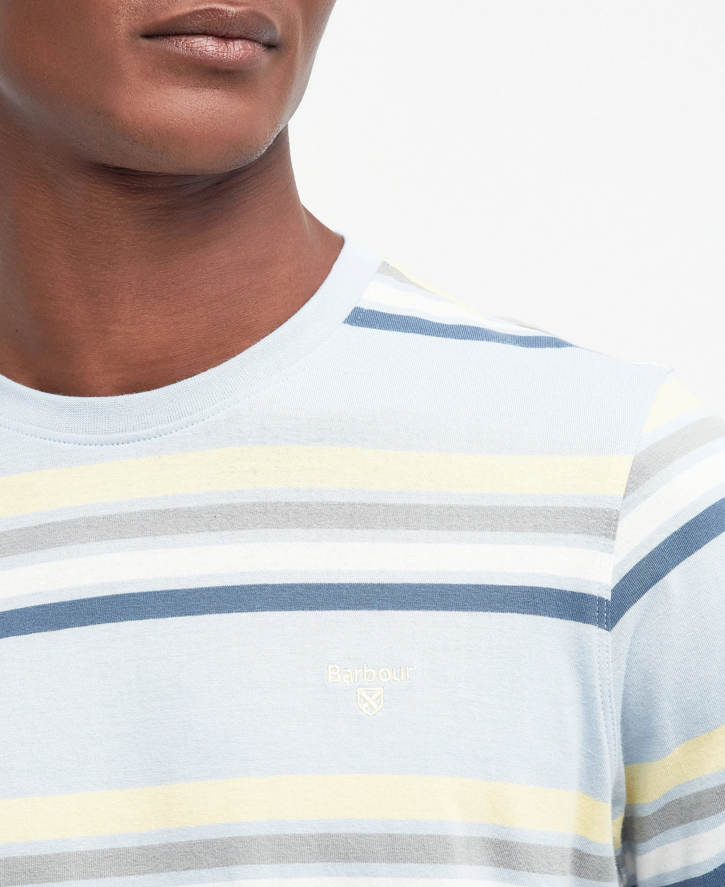 Hamstead Stripe T Shirt